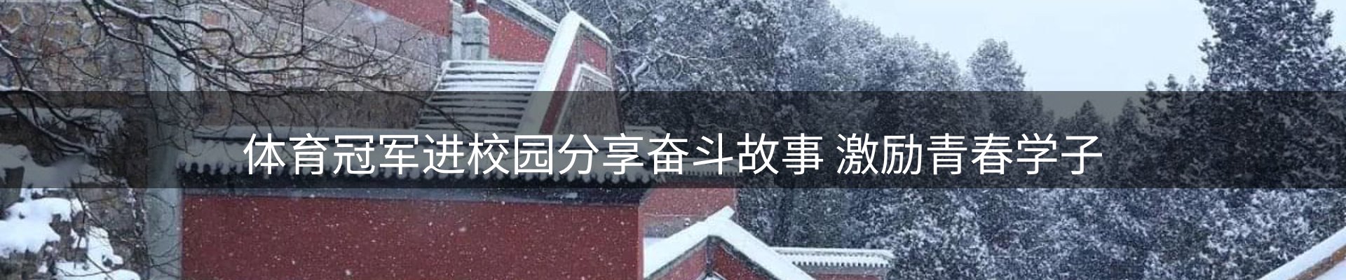资讯概览