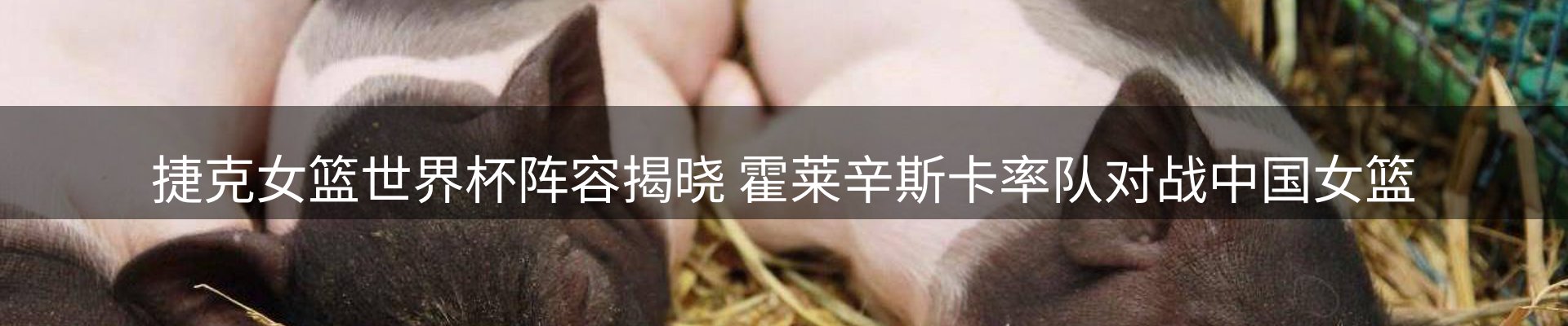 资讯概览
